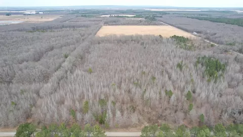 000 Williams Rd, Bald Knob, AR 72010 photo 6