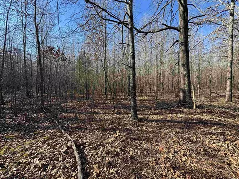 000 Williams Rd, Bald Knob, AR 72010 photo 24