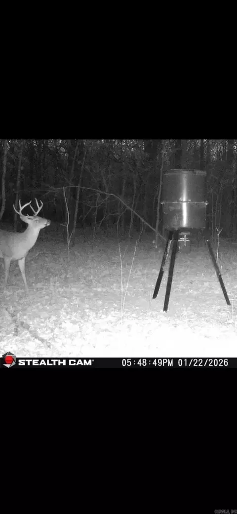 000 Williams Rd, Bald Knob, AR 72010 photo 17