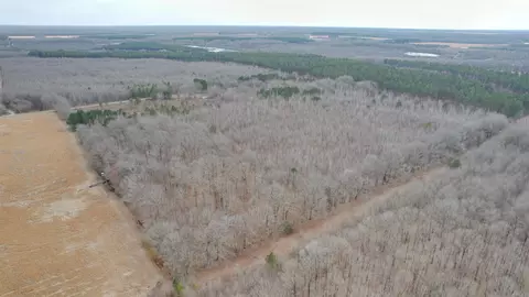 000 Williams Rd, Bald Knob, AR 72010 photo 3