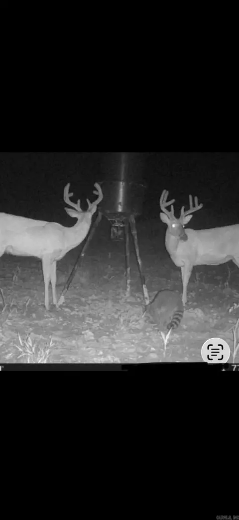 000 Williams Rd, Bald Knob, AR 72010 photo 19