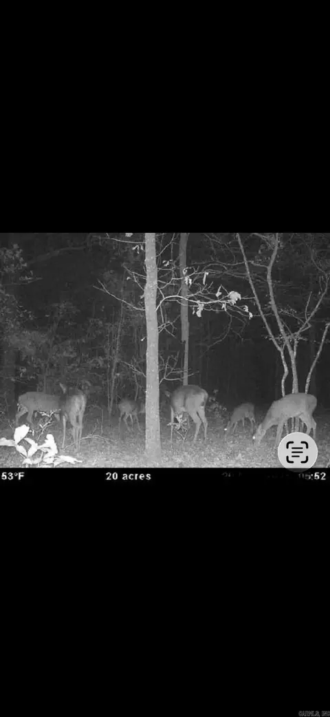 000 Williams Rd, Bald Knob, AR 72010 photo 20