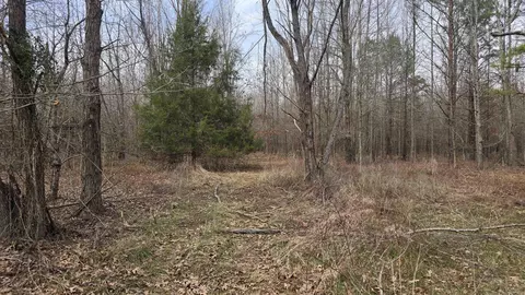 000 Williams Rd, Bald Knob, AR 72010 photo 11