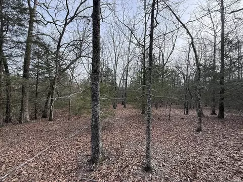 2495 E 74 Hwy, Marshall, AR 72650 photo 15