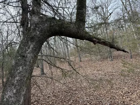 2495 E 74 Hwy, Marshall, AR 72650 photo 11
