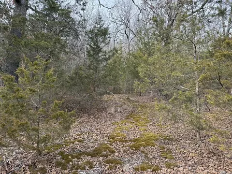 2495 E 74 Hwy, Marshall, AR 72650 photo 5