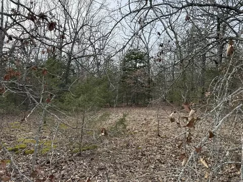 2495 E 74 Hwy, Marshall, AR 72650 photo 2