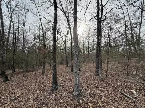 2495 E 74 Hwy, Marshall, AR 72650 photo 17