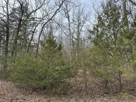 2495 E 74 Hwy, Marshall, AR 72650 photo 7