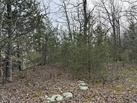 2495 E 74 Hwy, Marshall, AR 72650 photo 4