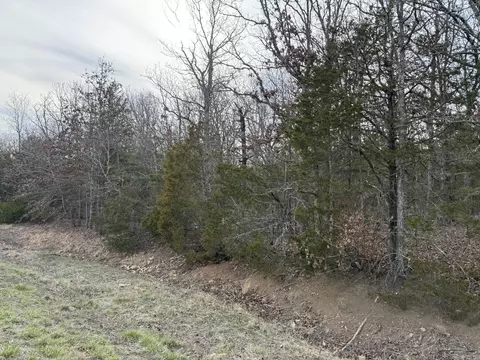 2495 E 74 Hwy, Marshall, AR 72650 photo 25