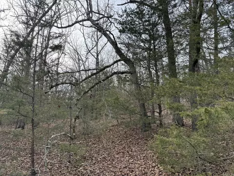 2495 E 74 Hwy, Marshall, AR 72650 photo 8