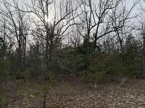 2495 E 74 Hwy, Marshall, AR 72650 photo 3