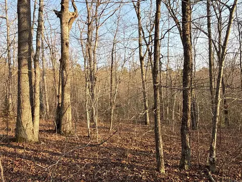 00 Daniel Hill Rd, Leslie, AR 72645 photo 8