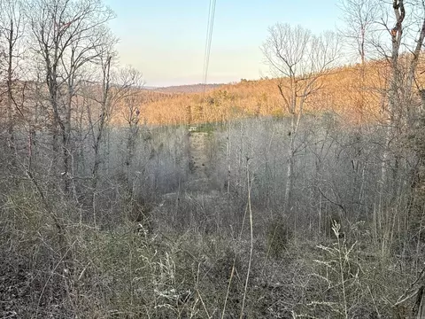 00 Daniel Hill Rd, Leslie, AR 72645 photo 18
