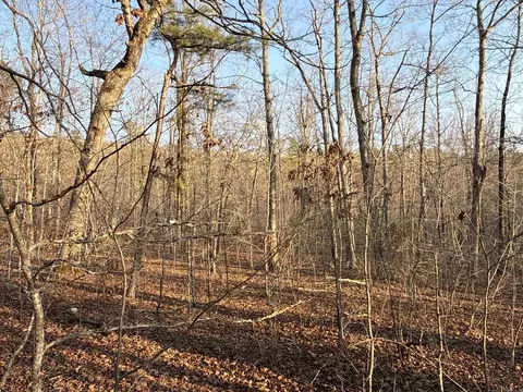 00 Daniel Hill Rd, Leslie, AR 72645 photo 7