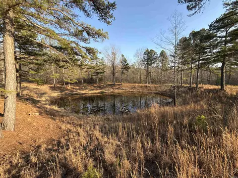 00 Daniel Hill Rd, Leslie, AR 72645 photo 5