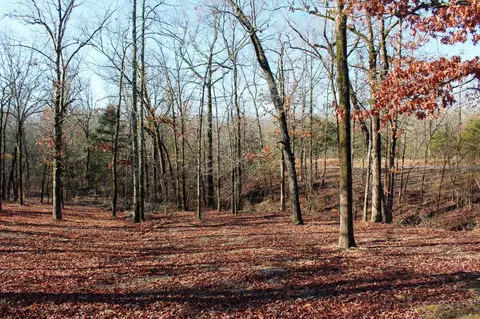 117 Big Mountain Rd, Beebe, AR 72012 photo 35
