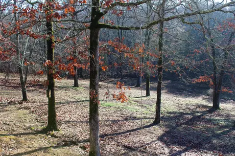 117 Big Mountain Rd, Beebe, AR 72012 photo 28