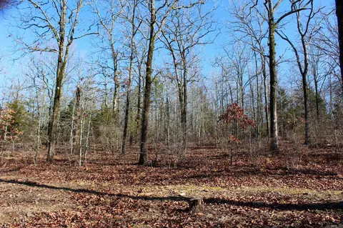 117 Big Mountain Rd, Beebe, AR 72012 photo 37
