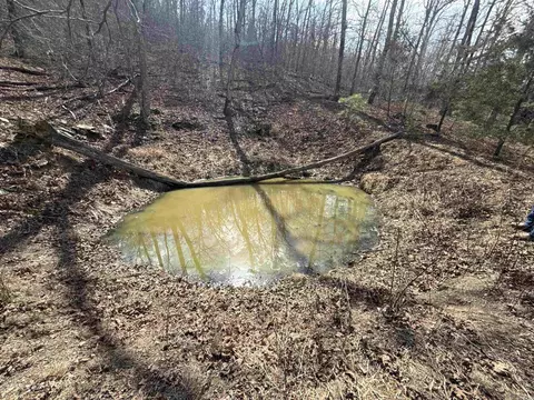 000 Daniel Hill Rd, Leslie, AR 72645 photo 19
