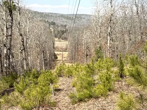 000 Daniel Hill Rd, Leslie, AR 72645 photo 18