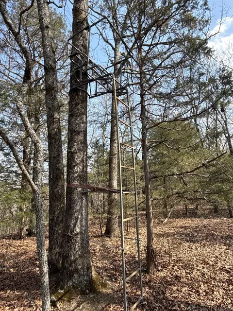 000 Daniel Hill Rd, Leslie, AR 72645 photo 33