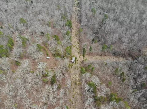 000 Daniel Hill Rd, Leslie, AR 72645 photo 4