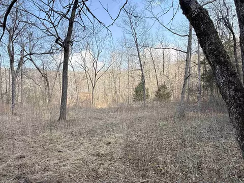 000 Daniel Hill Rd, Leslie, AR 72645 photo 15