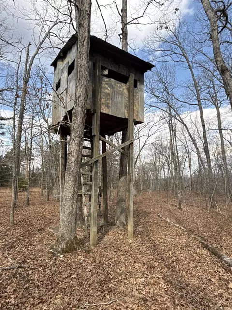 000 Daniel Hill Rd, Leslie, AR 72645 photo 31