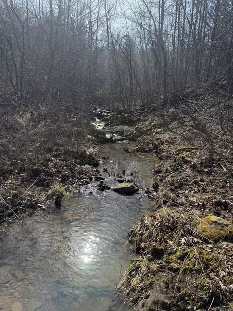000 Daniel Hill Rd, Leslie, AR 72645 photo 10