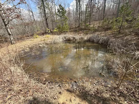 000 Daniel Hill Rd, Leslie, AR 72645 photo 25