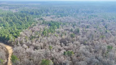 0 Brushy Creek Rd, Rison, AR 71665 photo 4