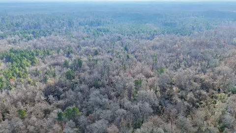 0 Brushy Creek Rd, Rison, AR 71665 photo 15
