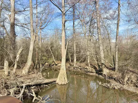 0 Brushy Creek Rd, Rison, AR 71665 photo 5