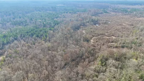 0 Brushy Creek Rd, Rison, AR 71665 photo 12