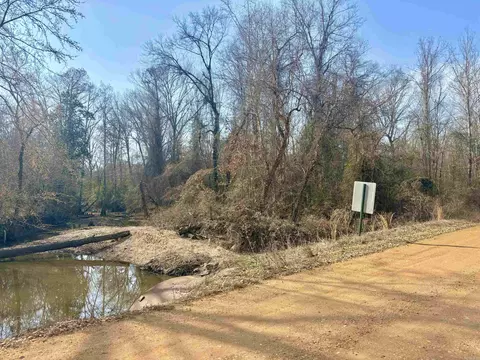 0 Brushy Creek Rd, Rison, AR 71665 photo 7