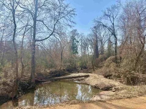 0 Brushy Creek Rd, Rison, AR 71665 photo 6