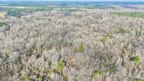 0 Brushy Creek Rd, Rison, AR 71665 photo 10
