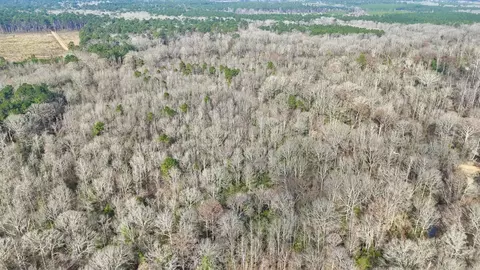 0 Brushy Creek Rd, Rison, AR 71665 photo 8
