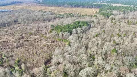 0 Brushy Creek Rd, Rison, AR 71665 photo 14