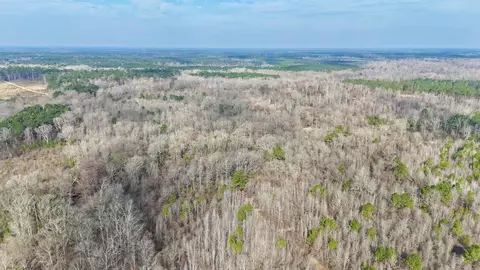 0 Brushy Creek Rd, Rison, AR 71665 photo 9