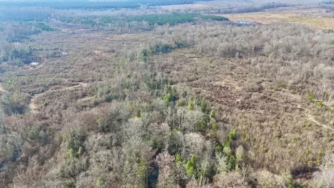 0 Brushy Creek Rd, Rison, AR 71665 photo 13