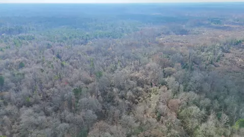 0 Brushy Creek Rd, Rison, AR 71665 photo 16
