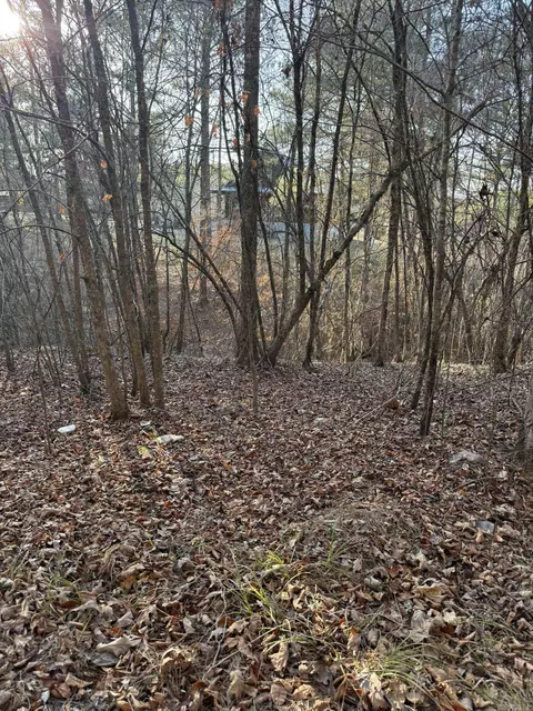 tbd Old Factory Site Rd, Murfreesboro, AR 71958