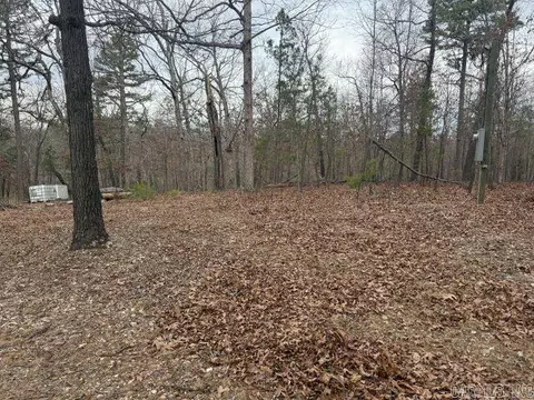 486 Mc 2084, Peel, AR 72668 photo 9