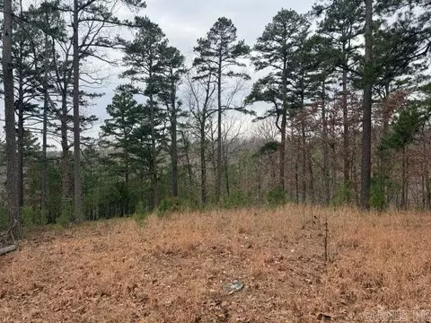 486 Mc 2084, Peel, AR 72668 photo 11