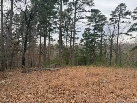 486 Mc 2084, Peel, AR 72668 photo 12