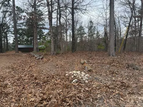 486 Mc 2084, Peel, AR 72668 photo 4