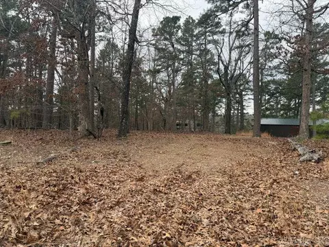 486 Mc 2084, Peel, AR 72668 photo 3